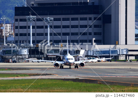大阪国際空港 ANA 飛行機 離陸態勢 スカイパーク 大阪国際空港 ANA 飛行機 離陸態勢 スカイパーク 114427460