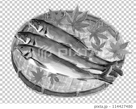 Monotone illustration of sweetfish served in a basket with watercolors and scattered maple leaves [hand-drawn] White background Transparent background 114427480