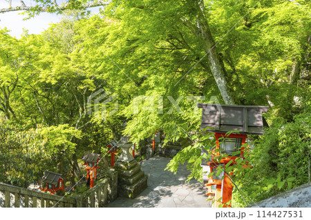 鞍馬寺　九十九折参道　石段と灯篭 114427531