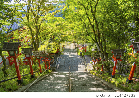 鞍馬寺 九十九折参道 石段と灯篭 鞍馬寺 九十九折参道 石段と灯篭 114427535
