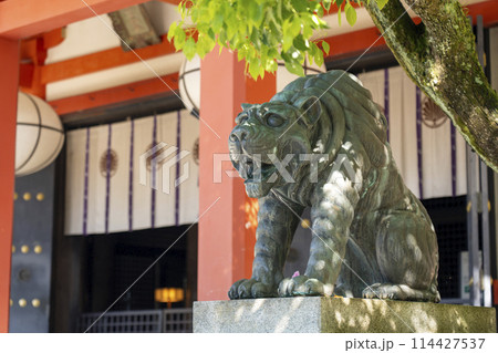 新緑の鞍馬寺 本殿金堂 阿吽の虎 新緑の鞍馬寺 本殿金堂 阿吽の虎 114427537