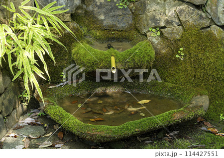 鞍馬寺　奥の院参道　息つぎの水 114427551