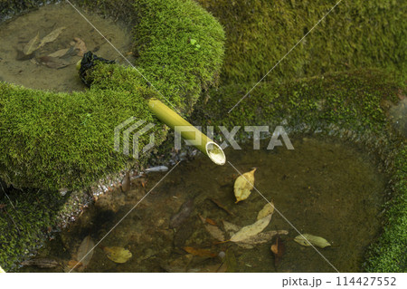 鞍馬寺　奥の院参道　息つぎの水 114427552