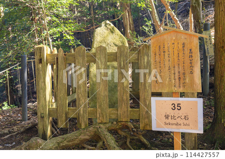 鞍馬寺　奥の院参道　背比べ石 114427557