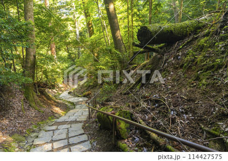 鞍馬寺 奥の院参道 険しい山道 鞍馬寺 奥の院参道 険しい山道 114427575