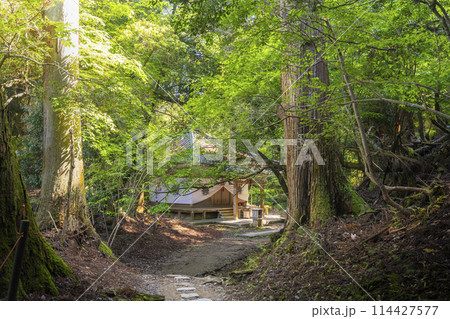 鞍馬寺　奥の院参道　僧正谷不動堂 114427577