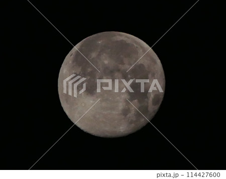 満月 114427600