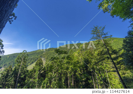 奥の院参道　鞍馬貴船トレイル 114427614