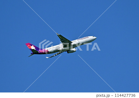 ハワイアン航空A330離陸上昇 ハワイアン航空A330離陸上昇 114427736