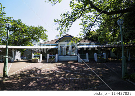 新緑に包まれる山手西洋館（山手68番館） 114427825