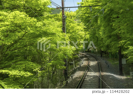 叡山電車 市原駅~二ノ瀬駅間「もみじのトンネル」 叡山電車 市原駅~二ノ瀬駅間「もみじのトンネル」 114428202