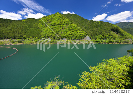 大滝ダムの上流  おおたき龍神湖（奈良県吉野郡川上村） 114428217