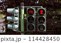 Innovative Urban Bicycle and Pedestrian Traffic Light System 114428450