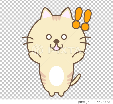 A surprising cat 114428528