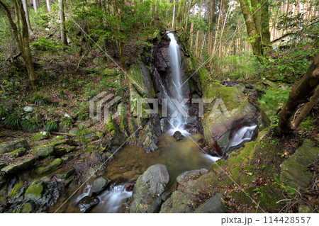 不動延命の滝（奈良県桜井市） 114428557