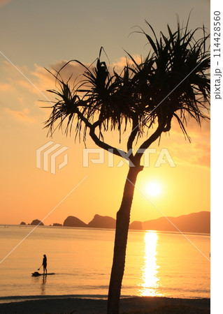 夕暮れのビーチで遊ぶ　沖縄の夕景 114428560