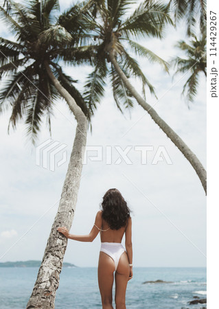 Luxury Vacation in Paradise of Beach Fashion Girl in Stylish White Swimwear 114429267