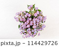 背景が白の俯瞰から見る紫のあじさいのフラワーアレンジメント 114429726