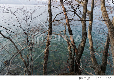 春の十和田湖（子ノ口付近） 114429772