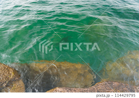 春の十和田湖（子ノ口付近） 114429795