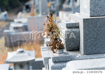 枯れた仏花 枯れた仏花 114430376