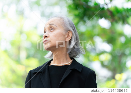 喪服のシニア女性　見上げる　新緑 114430655