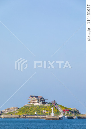 「青森県」菜の花が咲く春のウミネコ繁殖地・蕪島 八戸市 「青森県」菜の花が咲く春のウミネコ繁殖地・蕪島 八戸市 114431087