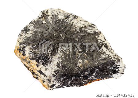 Macro stone Aegirine in charoite on white background 114432415