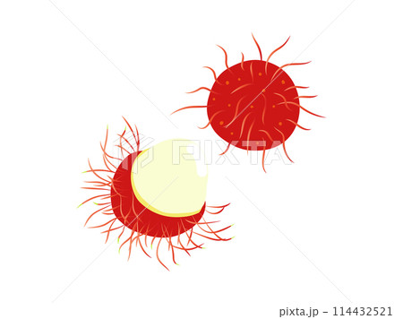 南国のフルーツ、ランブータン 114432521
