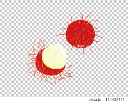 南国のフルーツ、ランブータン 114432521