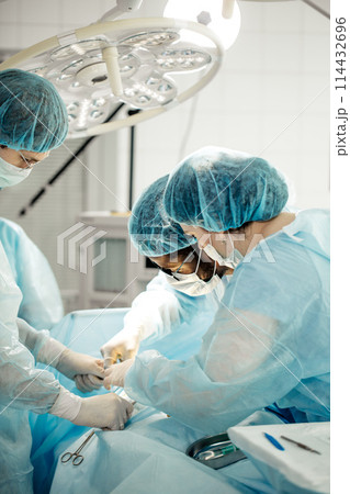 people diagnosing and treating musculoskeletal system conditions people diagnosing and treating musculoskeletal system conditions 114432696