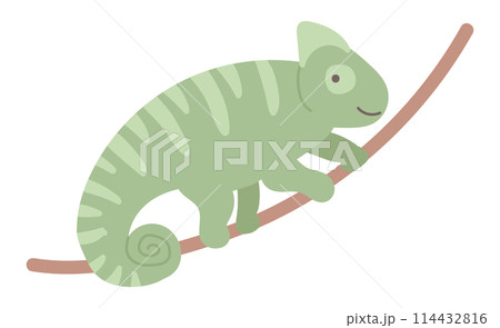 Cute chameleon on branch in flat design. Happy wildlife pet, tropical lizard. Vector illustration isolated. 114432816