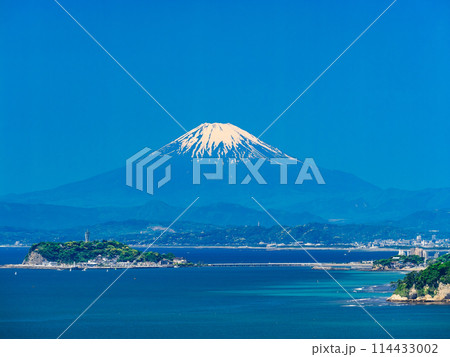 富士山と湘南海岸　春景 114433002