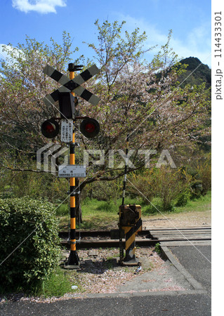 廃線跡の踏切 114433301