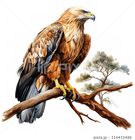 Image of an eagle on a branch on a white background. Birds. Animals. Illustration, Generative AI. 114433486