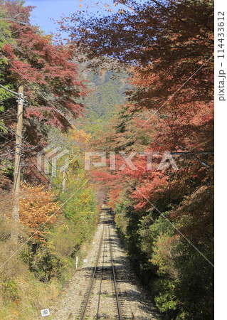 赤く紅葉した木々の間を抜け、山頂へと真っすぐ延びる、晴れた秋の筑波山ケーブルカーの軌道 114433612