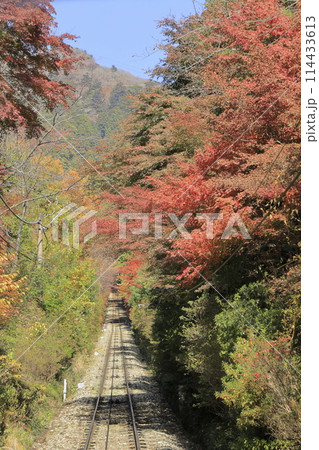 赤く紅葉した木々の間を抜け、山頂へと真っすぐ延びる、晴れた秋の筑波山ケーブルカーの軌道 赤く紅葉した木々の間を抜け、山頂へと真っすぐ延びる、晴れた秋の筑波山ケーブルカーの軌道 114433613