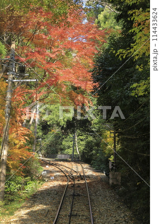 赤く紅葉した木々の間を抜け、山頂へと延びる、晴れた秋の筑波山ケーブルカーの軌道 114433624