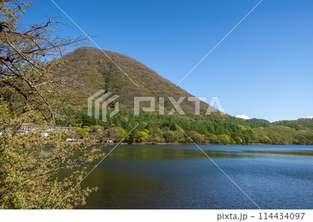 新緑の榛名山　榛名湖と榛名富士 114434097