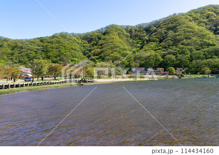 新緑の榛名湖 群馬県 新緑の榛名湖 群馬県 114434160