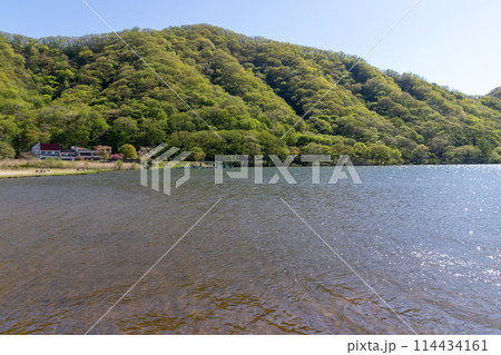 新緑の榛名湖 群馬県 新緑の榛名湖 群馬県 114434161