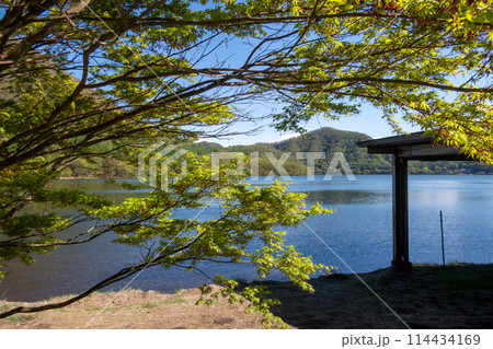 新緑の榛名湖 群馬県 新緑の榛名湖 群馬県 114434169
