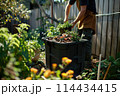 Man nurturing plants in a compost bin within a vibrant home garden at daytime 114434415