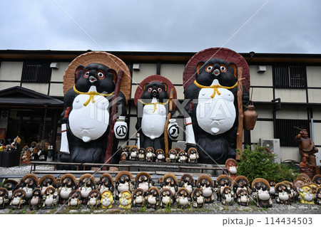 信楽の狸 114434503