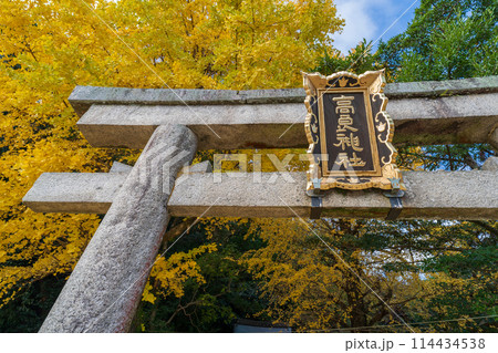 京都府八幡市高良神社で晩秋の黄色に色づいたイチョウを撮影 京都府八幡市高良神社で晩秋の黄色に色づいたイチョウを撮影 114434538