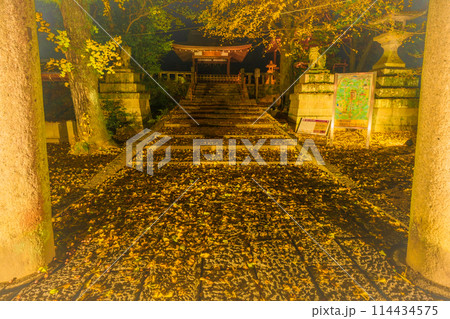 京都府八幡市高良神社で晩秋の黄色に色づいたイチョウを撮影 114434575
