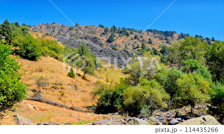 Uzbekistan foothills of the Pamirs. Bushes and plants growing among the rocks. AI-generated item Uzbekistan foothills of the Pamirs. Bushes and plants growing among the rocks. AI-generated item 114435266