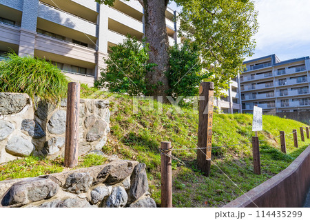 京都府長岡京市にある開田城の復元土塁　開田城土塁公園 114435299