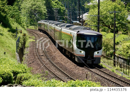 田園風景と特急ひだ（HC85) 114435376