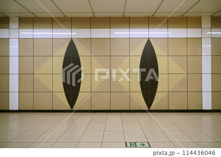 日本の横浜都市景観 横浜市営地下鉄 踊場駅出入口4に続く通路にもネコが…＝5月10日 114436046